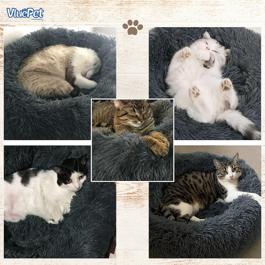 Give your pet the gift of better sleep with the VluePet® Calming Pet Bed.