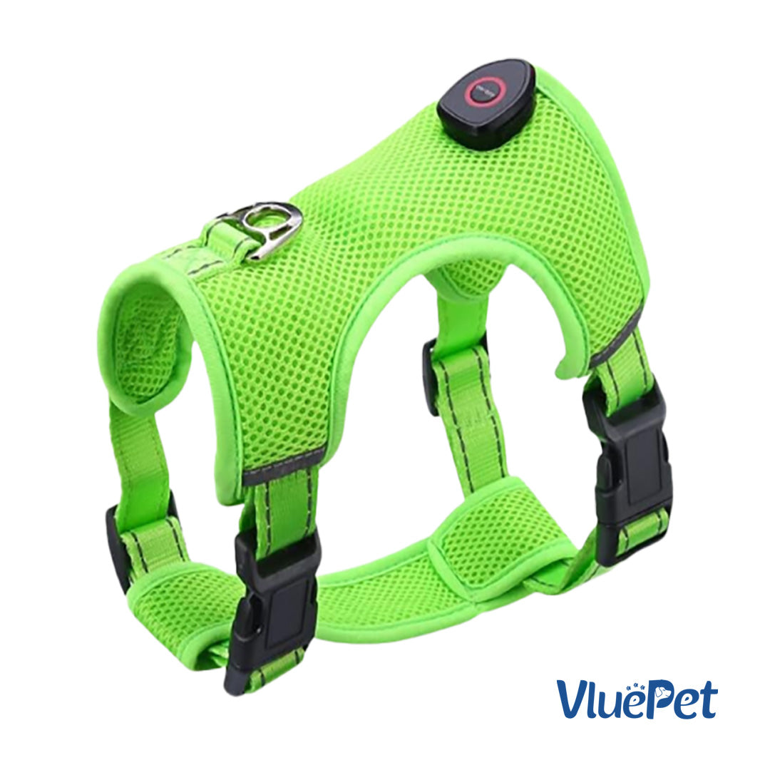 Keep your dog safe and visible on every walk with the VluePet® LED Dog Harness.