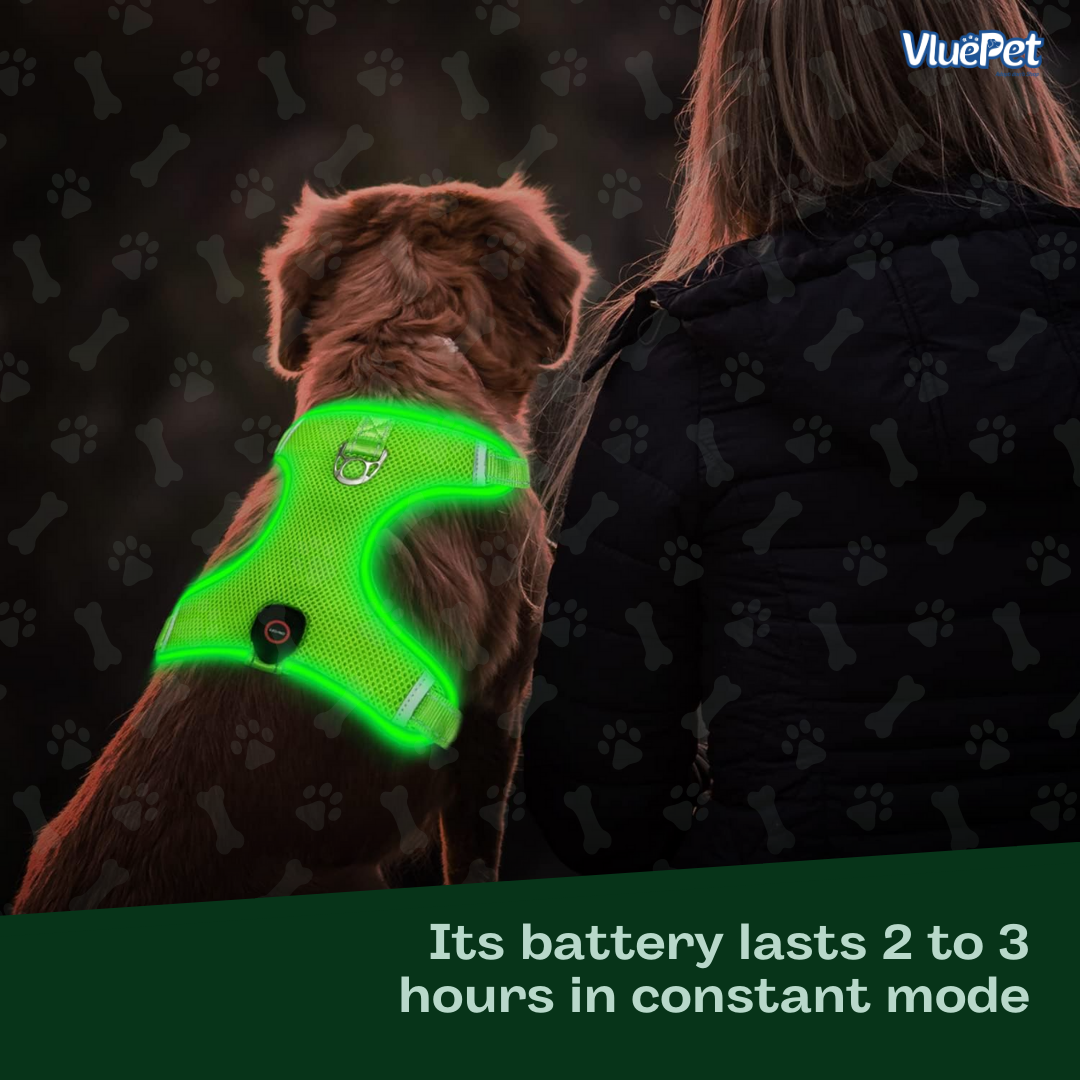 Keep your dog safe and visible on every walk with the VluePet® LED Dog Harness.