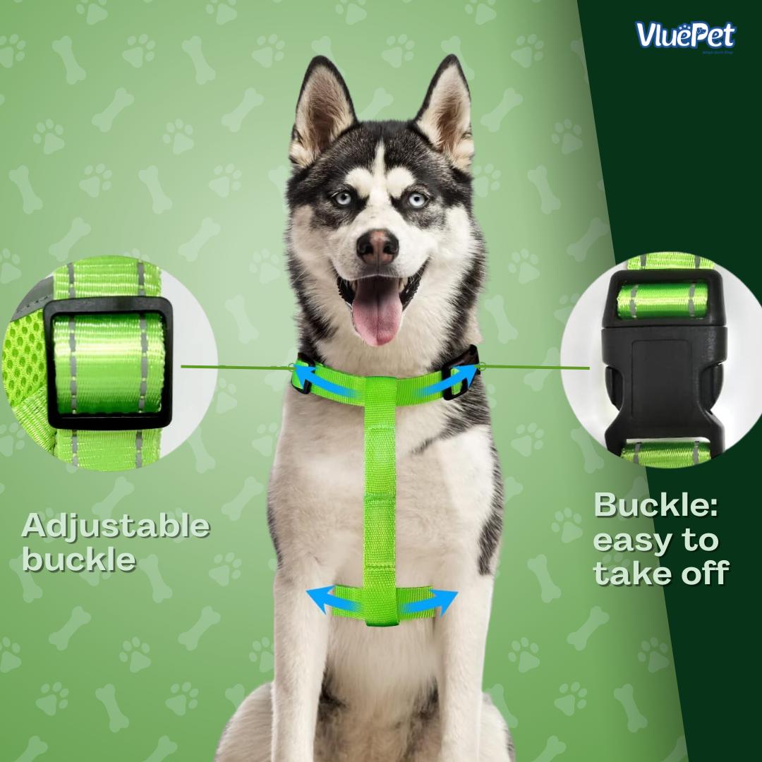 Keep your dog safe and visible on every walk with the VluePet® LED Dog Harness.