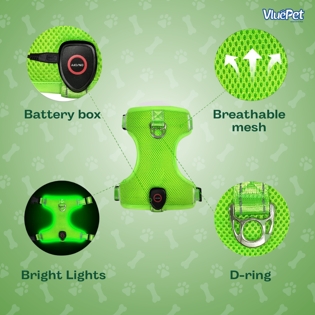 Keep your dog safe and visible on every walk with the VluePet® LED Dog Harness.