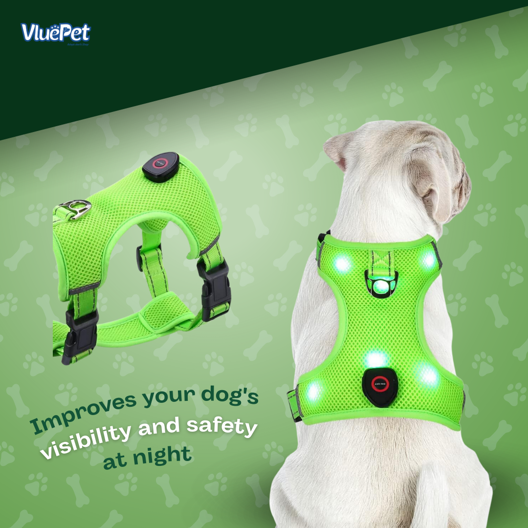 Keep your dog safe and visible on every walk with the VluePet® LED Dog Harness.