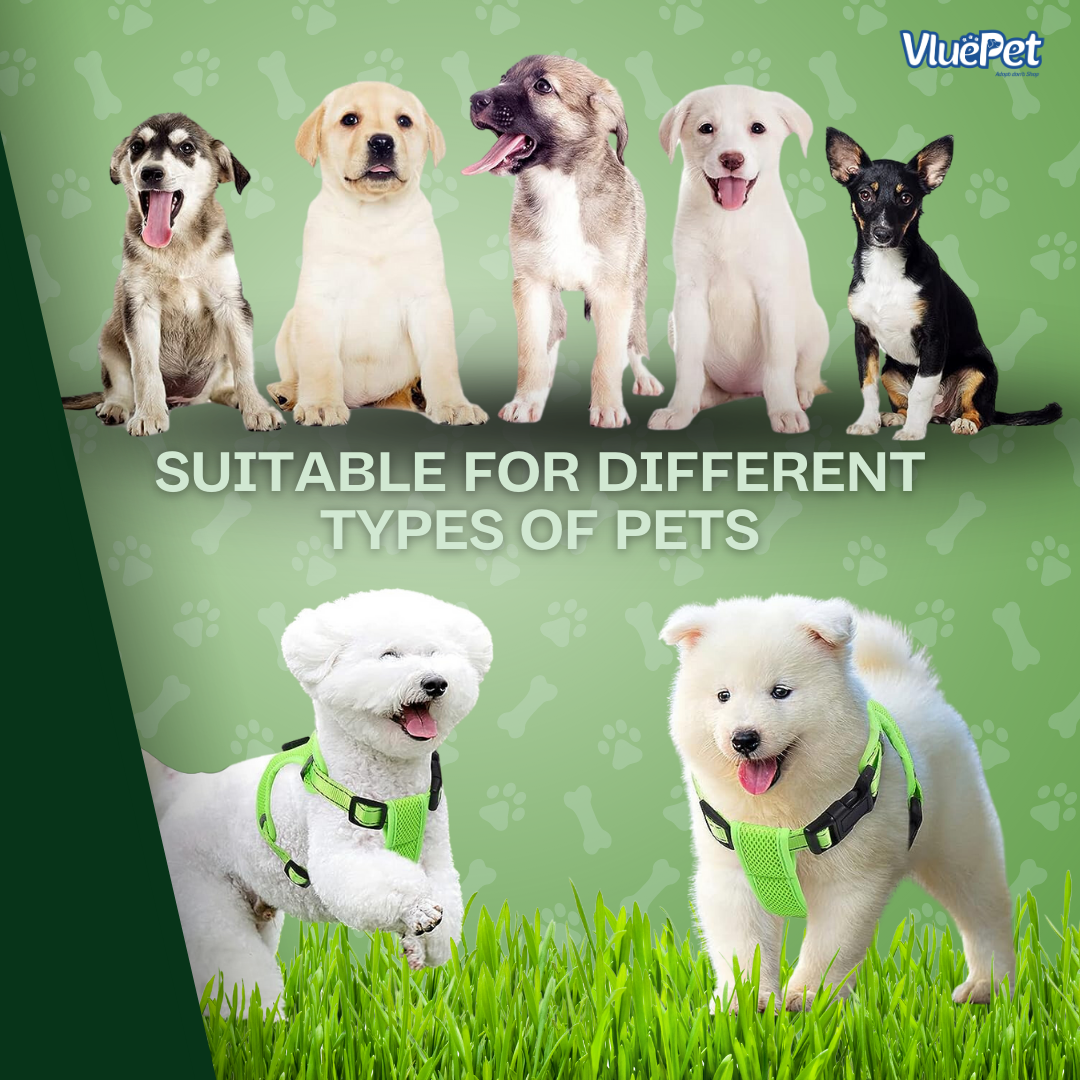 Keep your dog safe and visible on every walk with the VluePet® LED Dog Harness.