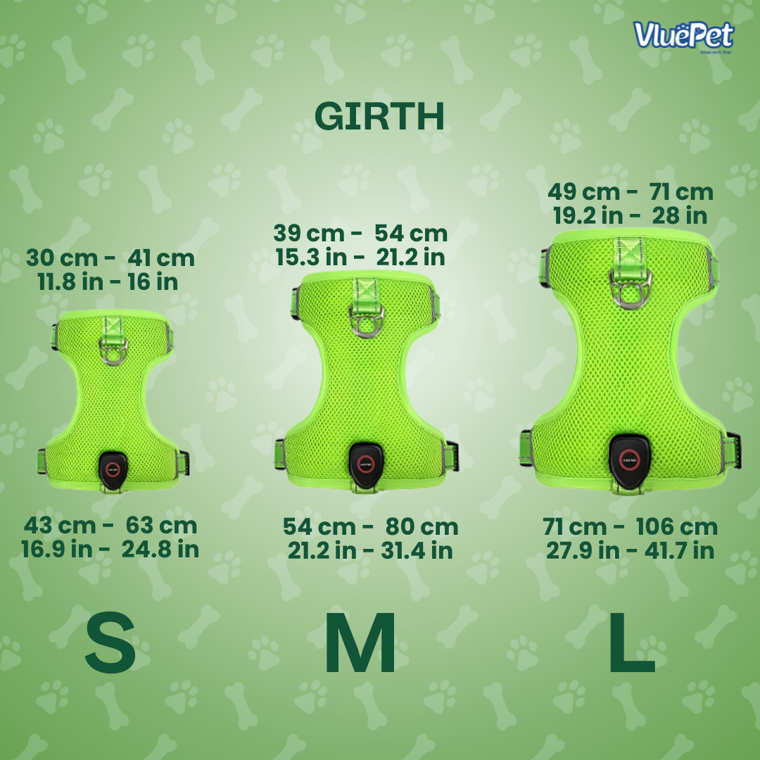 Keep your dog safe and visible on every walk with the VluePet® LED Dog Harness.