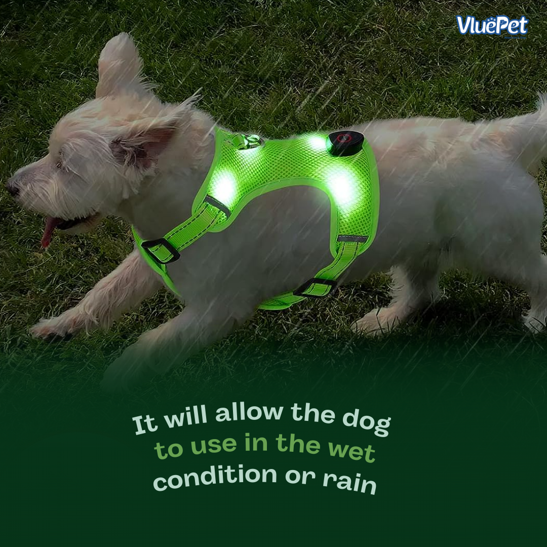 Keep your dog safe and visible on every walk with the VluePet® LED Dog Harness.