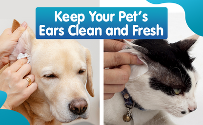 VluePet® Pet Ear Wash
