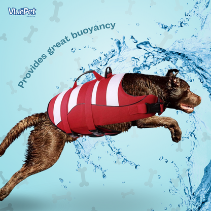 VluePet® Dog Life Jacket – Adjustable, Lightweight & Safe Swim Vest for Dogs
