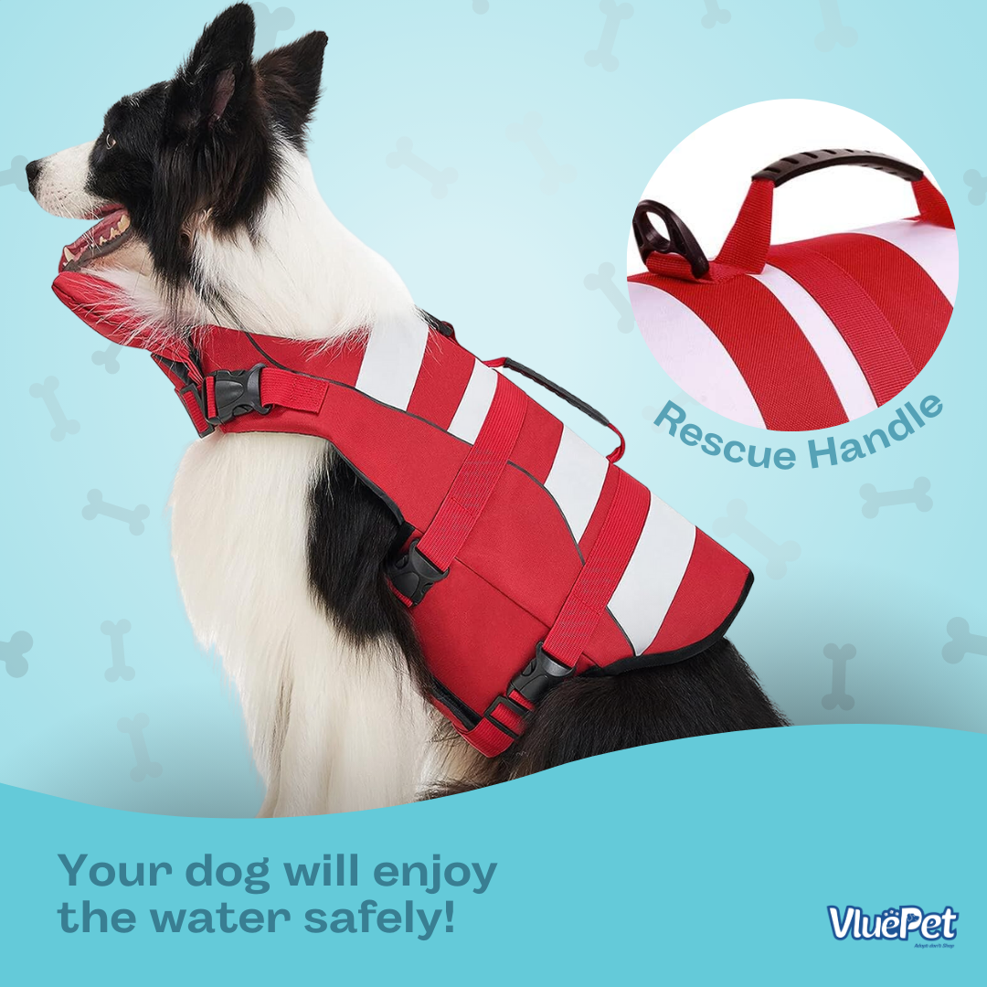VluePet® Dog Life Jacket – Adjustable, Lightweight & Safe Swim Vest for Dogs