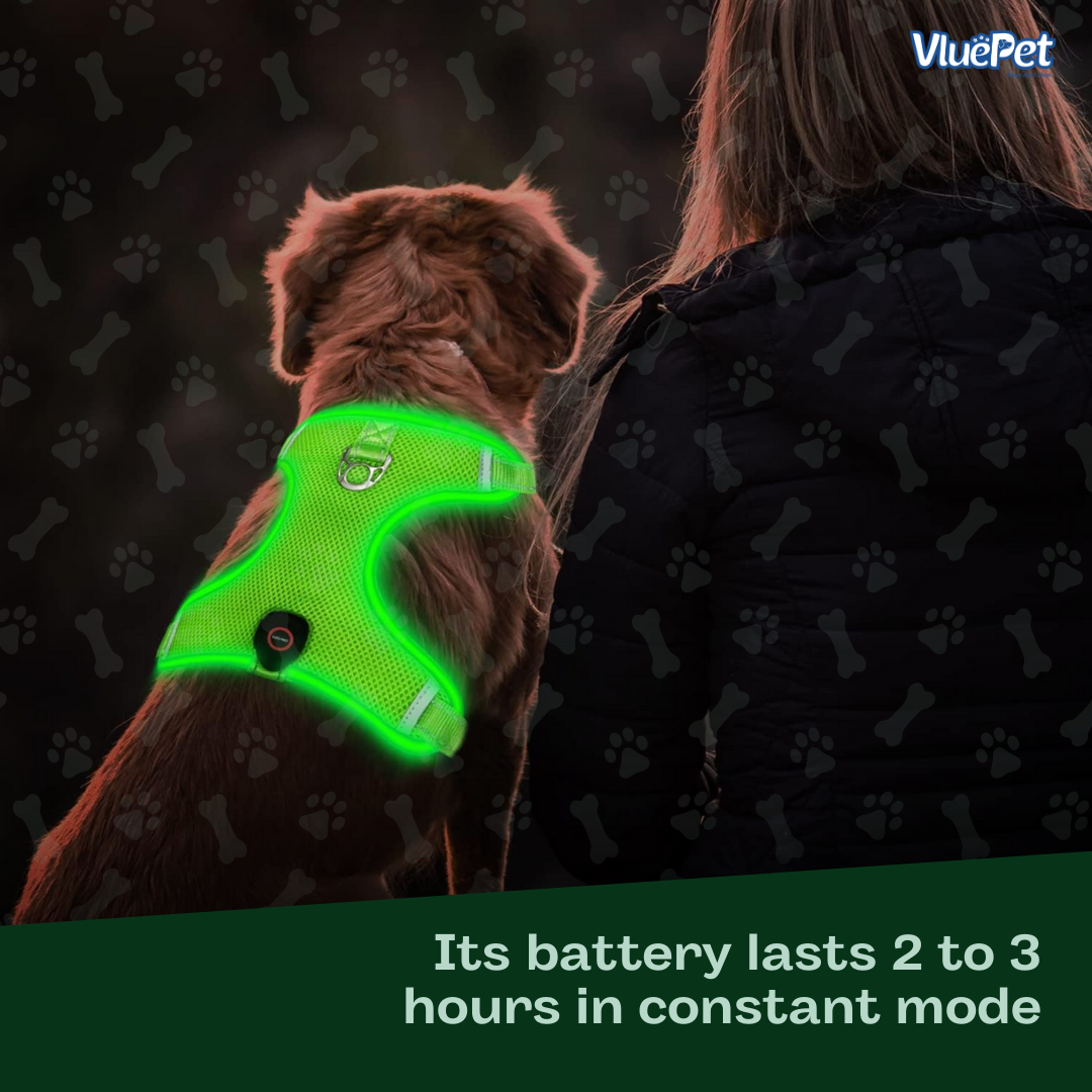 VluePet® LED Dog Harness with Adjustable Buckle