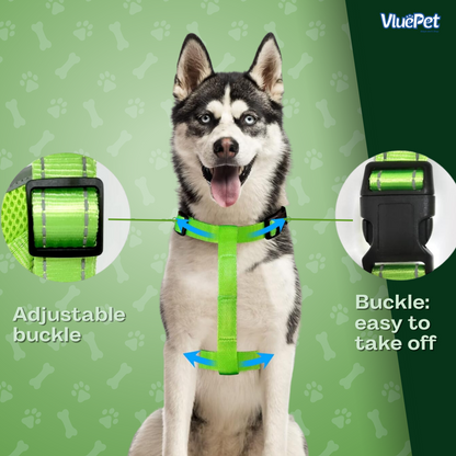 VluePet® LED Dog Harness with Adjustable Buckle