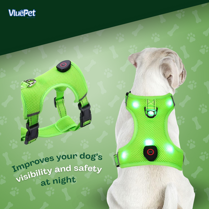 VluePet® LED Dog Harness with Adjustable Buckle