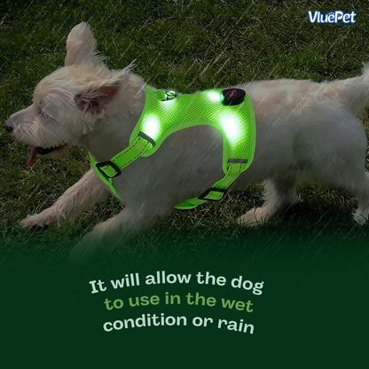 VluePet® LED Dog Harness with Adjustable Buckle